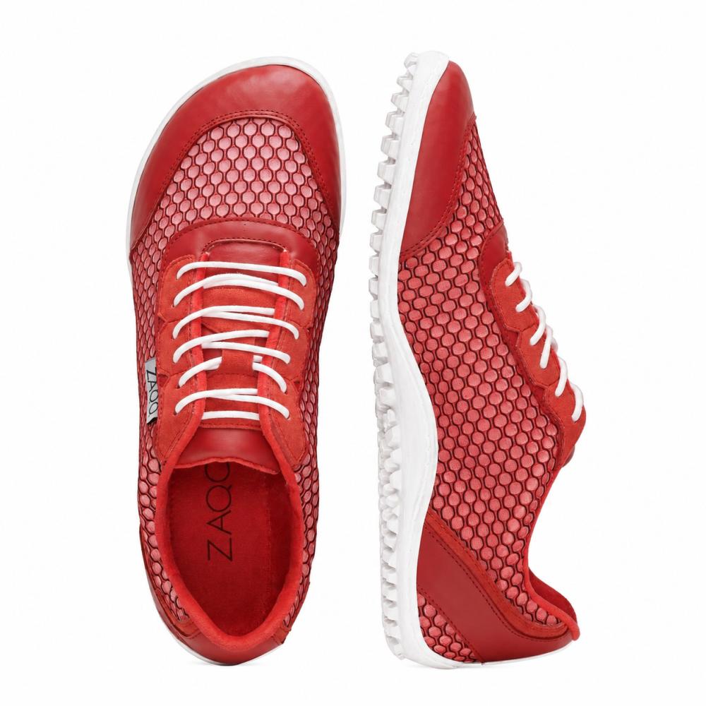 Toqio rosso